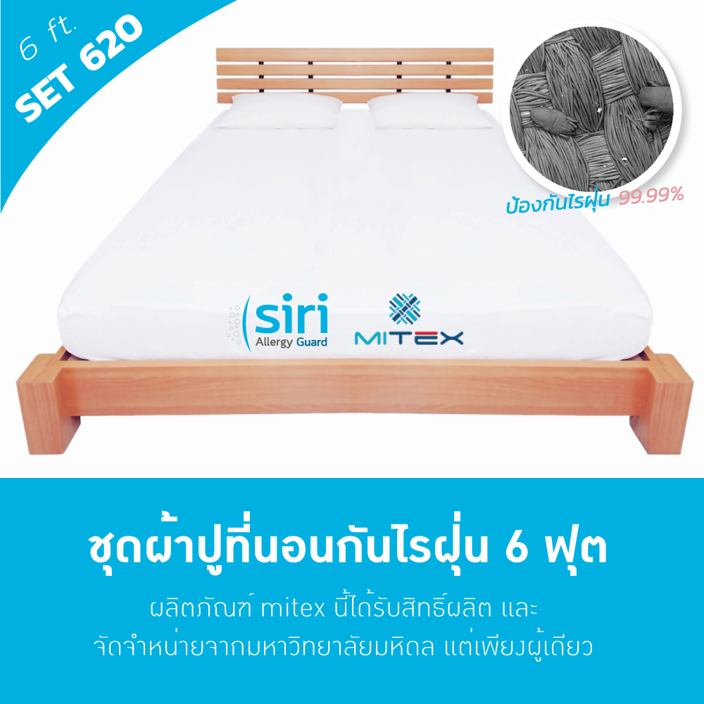ผ้าปูที่นอนกันไรฝุ่น 6 ฟุต(620) Small Set