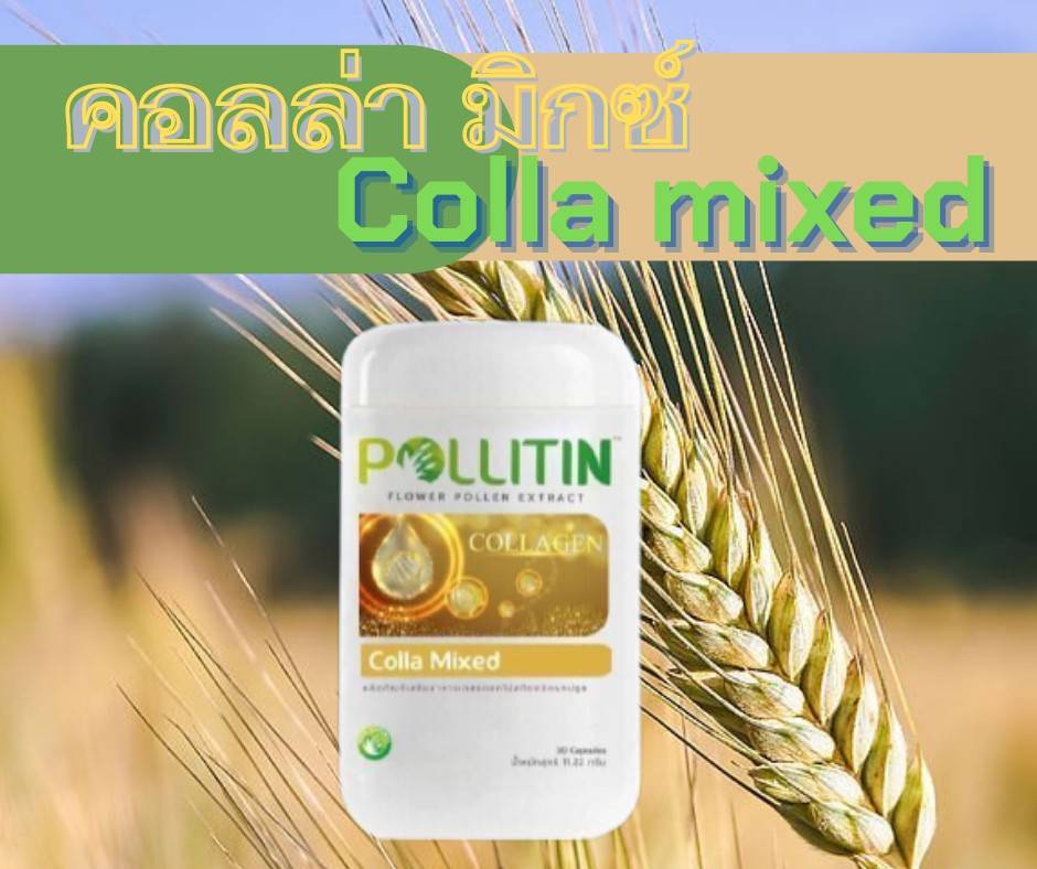 คอลล่ามิกซ์ Colla Mixed
