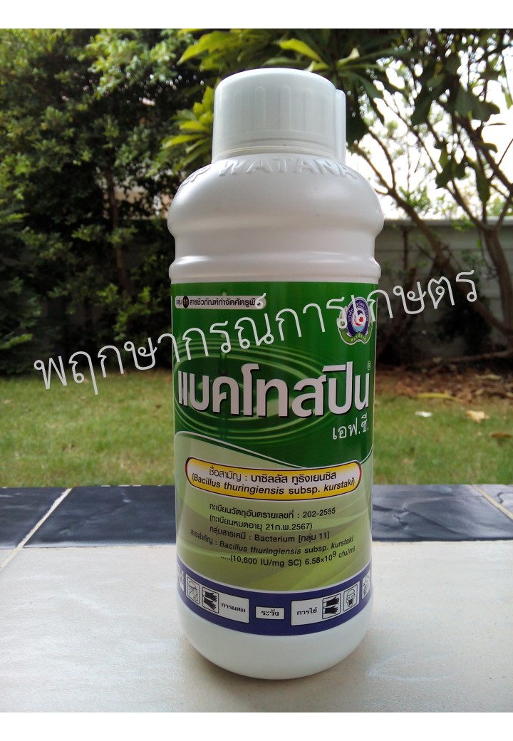 แบคโทสปิน