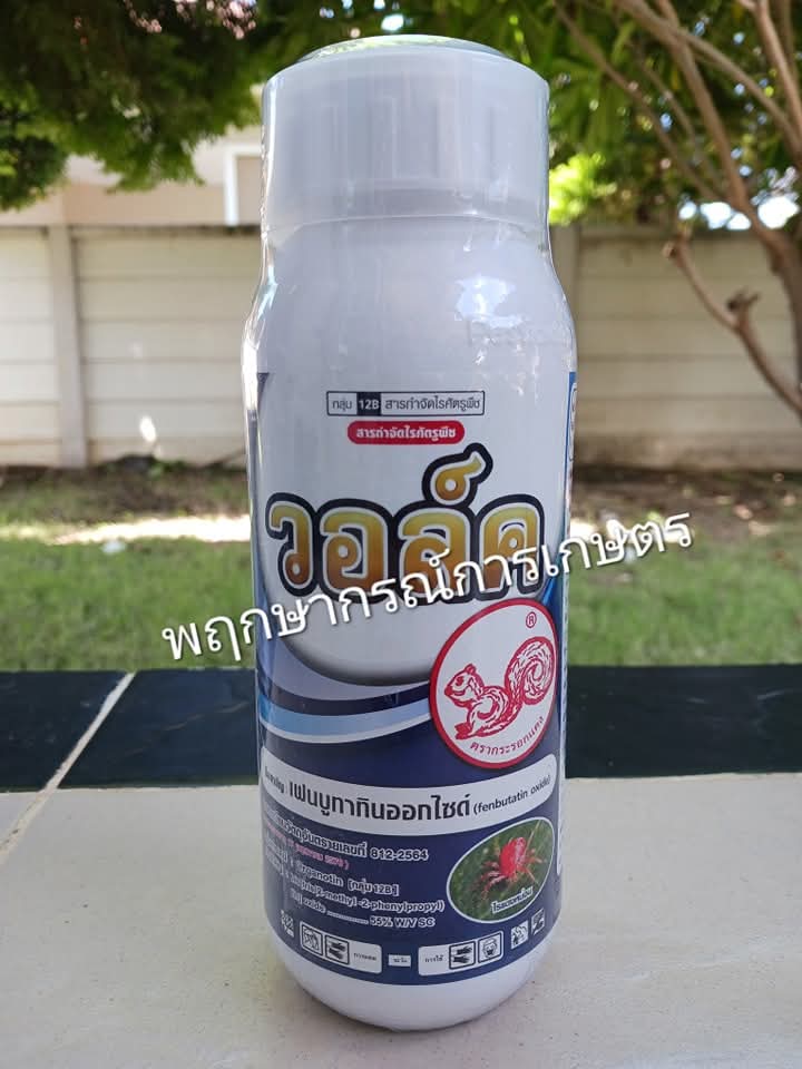 วอล์ค 500 ซีซี