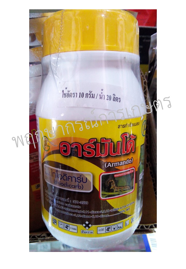 อาร์มันโด้