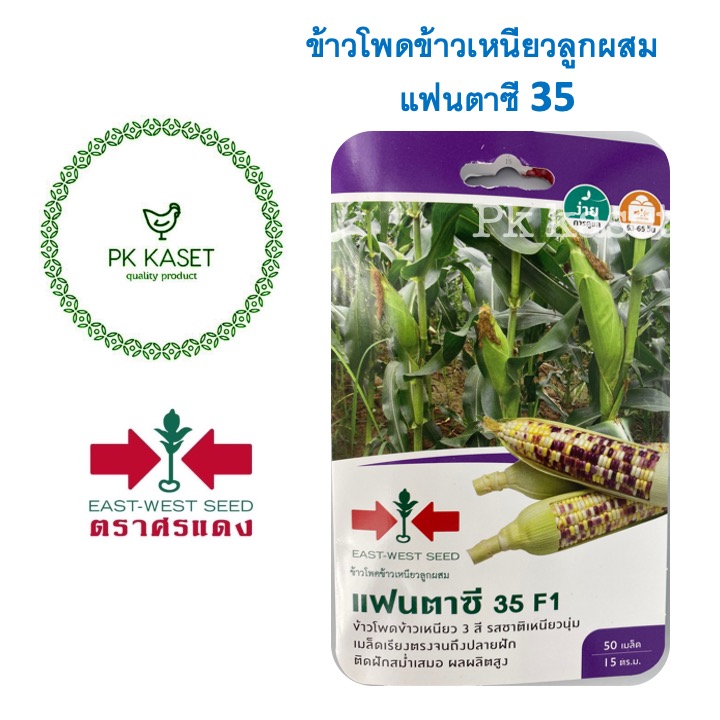 เมล็ดข้าวโพดข้าวเหนียวลูกผสม แฟนตาซี 35 F1 ตราศรแดง ซองแข็ง 50 เมล็ด ผักสวนครัว