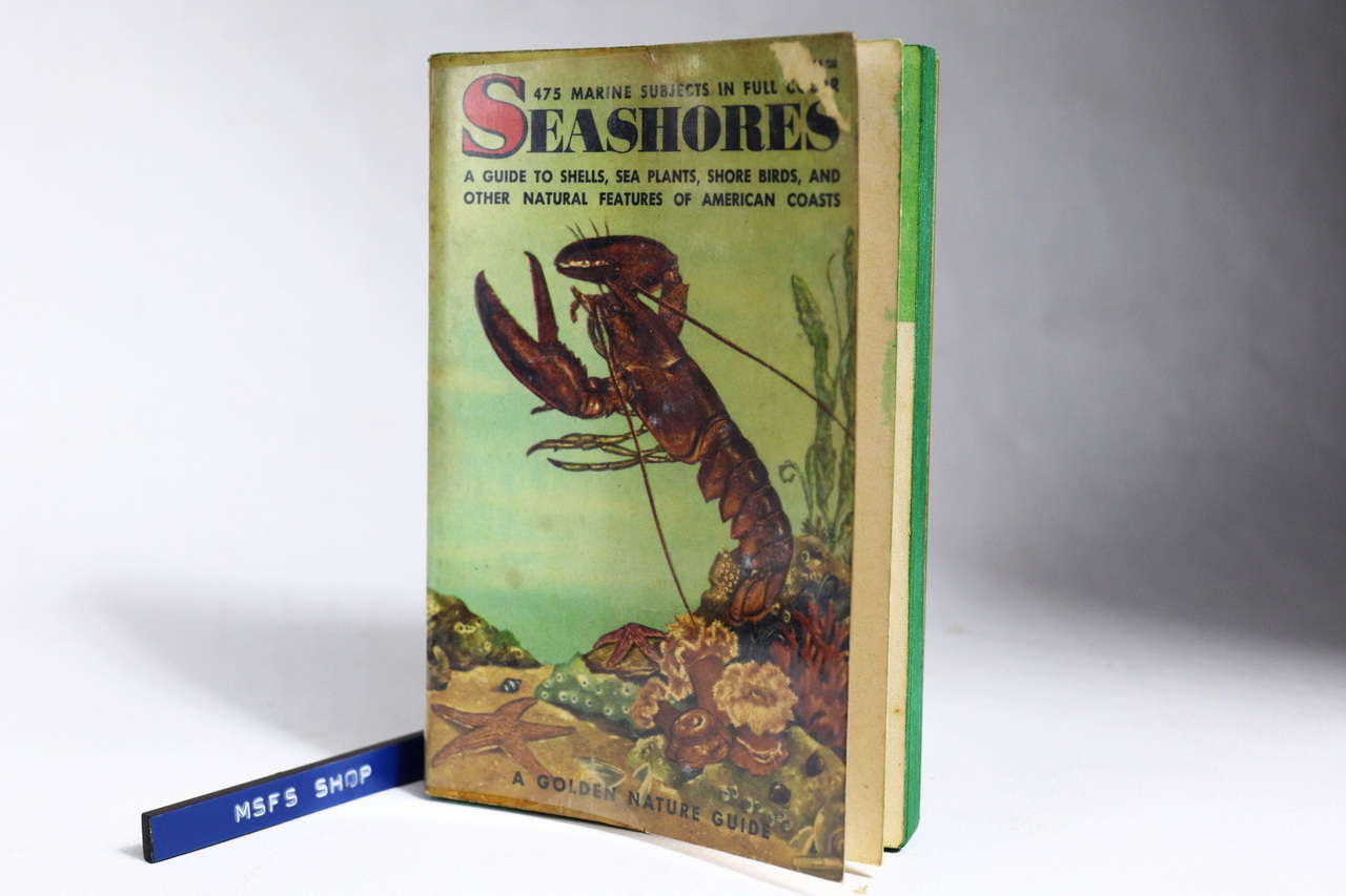 [Vintage] หนังสือเก่า Seashores