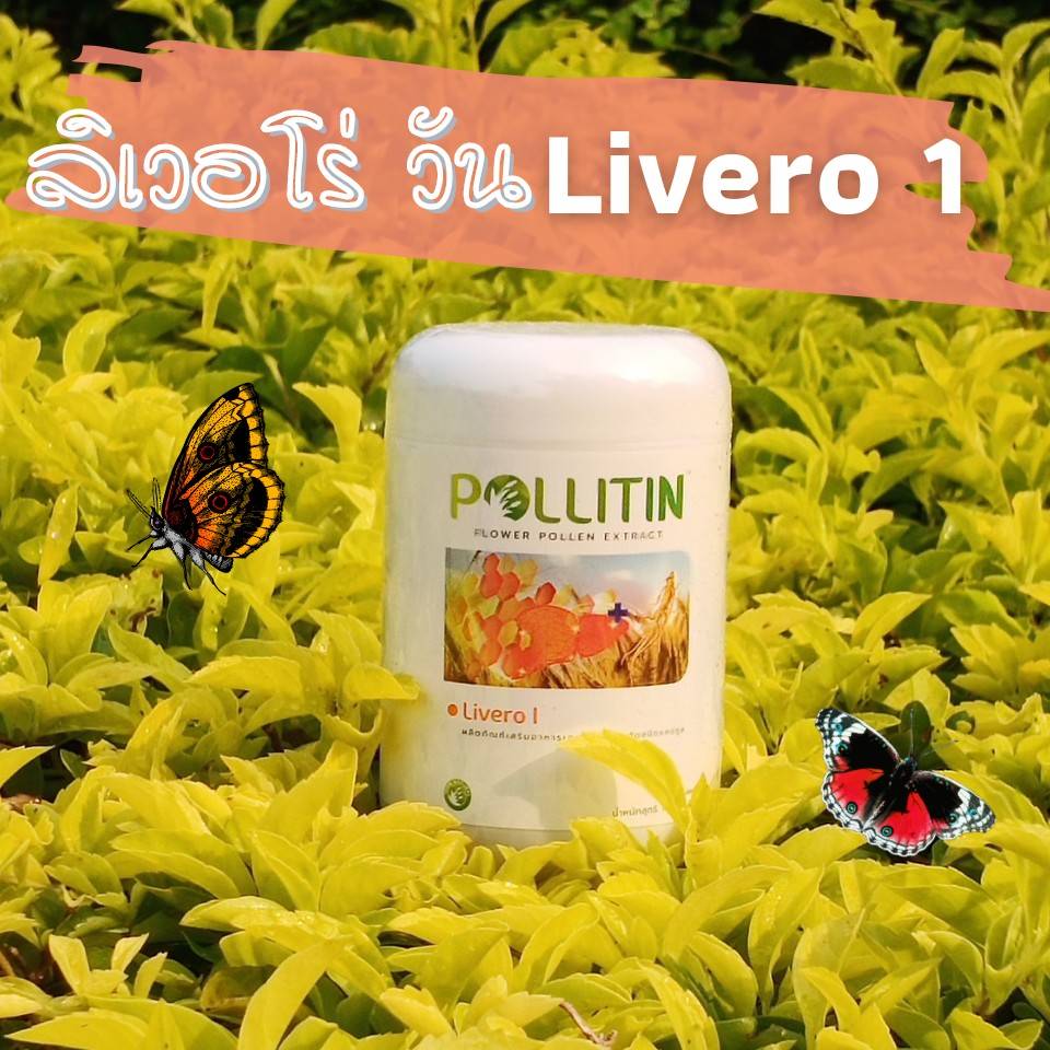 ลิเวอร์โร่ วัน Livero I
