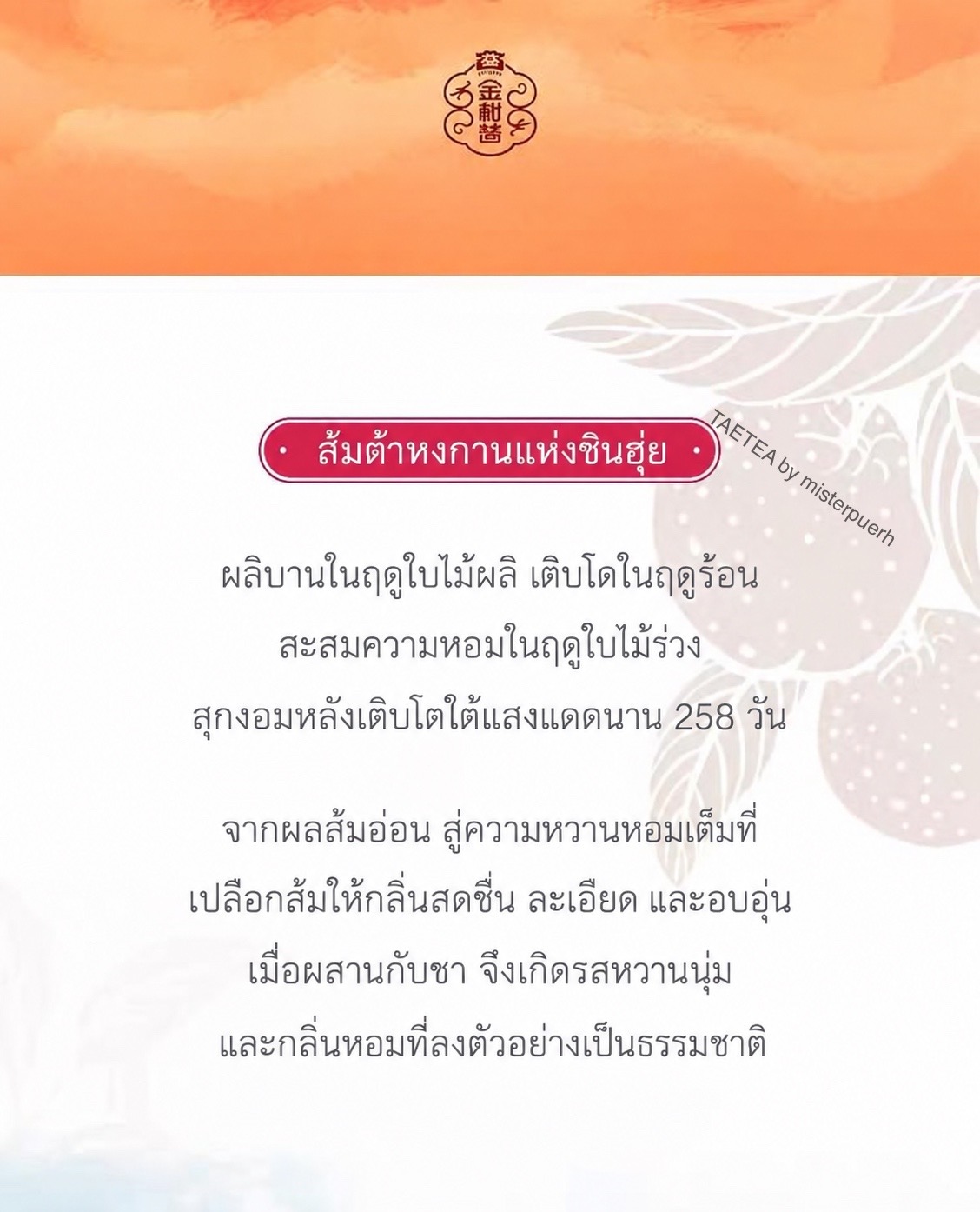 ชาผู่เอ๋อร์สุกในผลส้ม ต้าอี้ รุ่น ต้าอี้ ต้าหงกาน น้ำหนัก 200 กรัม TAETEA 大益大红柑