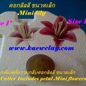 พิมพ์ตัดอลูมิเนียมดอก+ใบลิลลี่จิ๋วรวมกลีบ(Aluminum mold cutter Mini Lily included petals)