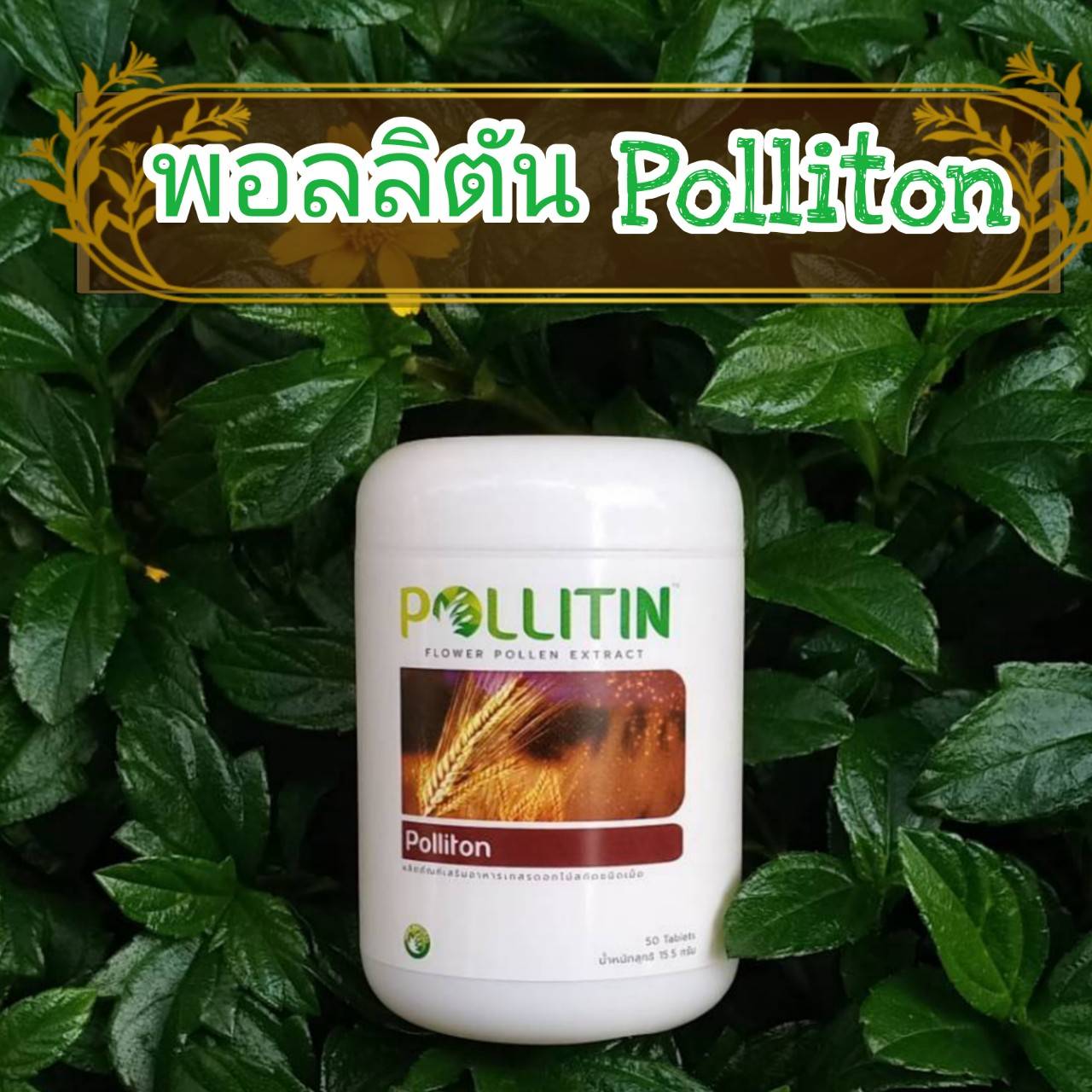 พอลลิตัน Polliton (สีน้ำตาล)