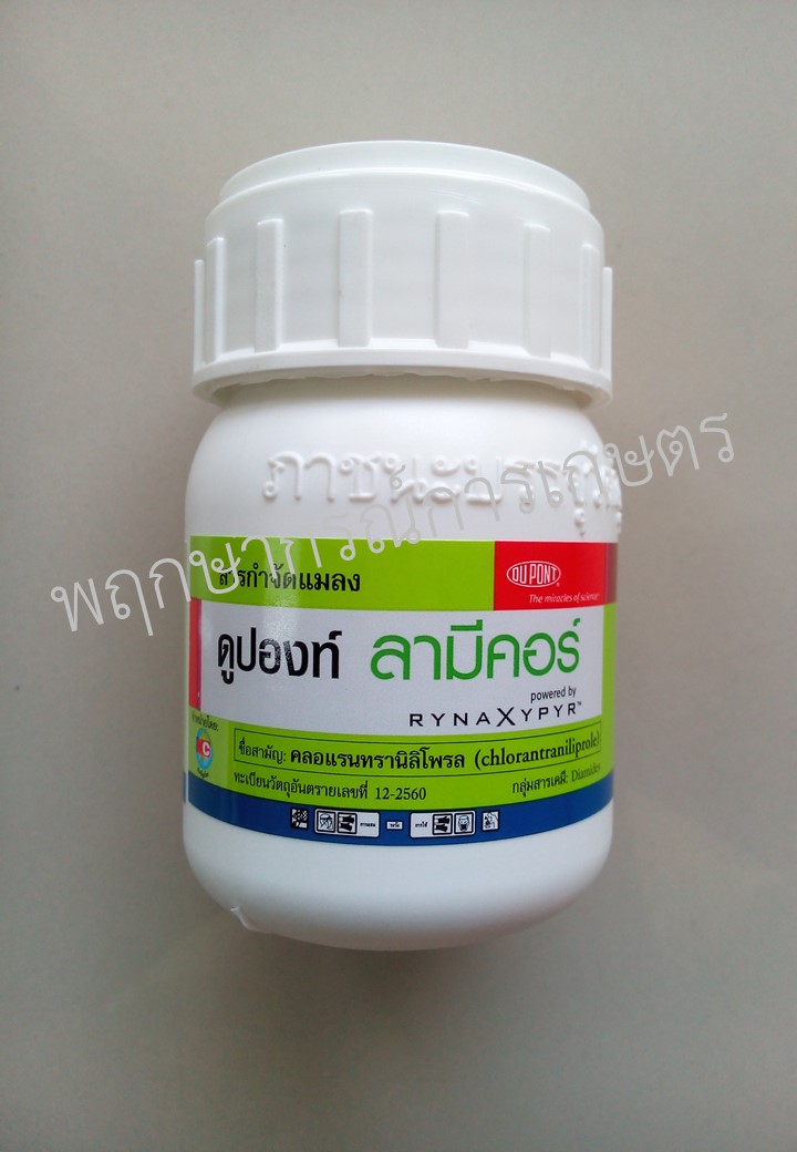ลามีคอร์