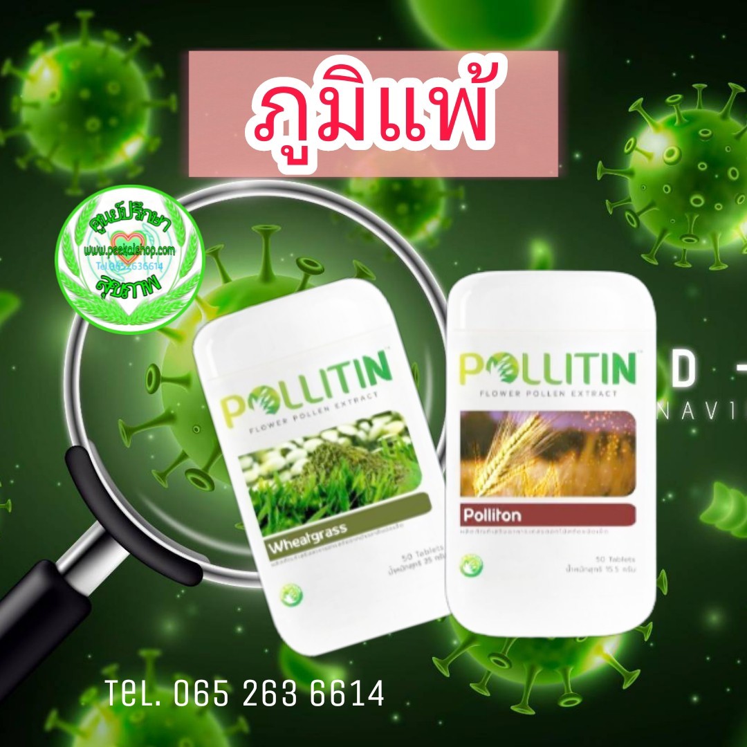 โรคภูมิแพ้ (พอลลิติน)