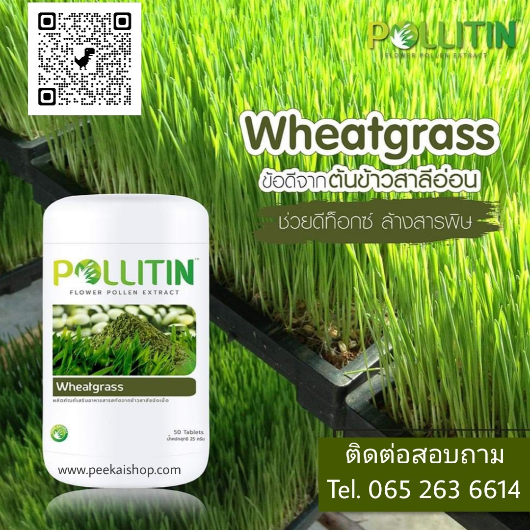 รีวิวพอลลิติน pollitin