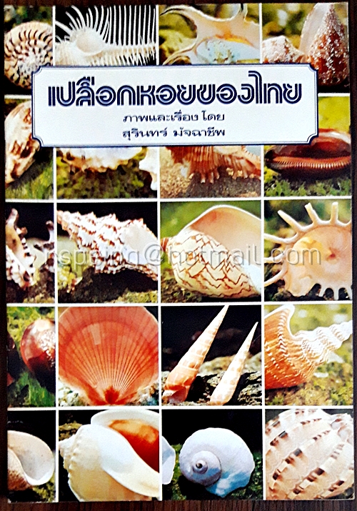 เปลือกหอยของไทย