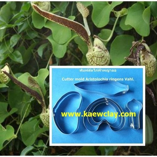 พิมพ์ตัดอลูมิเนียมดอก+ใบไก่ฟ้าพญาลอ(Aluminum mold cutter Pelican flower+ Leaf)