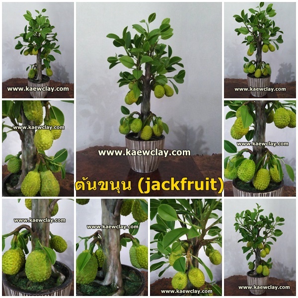 DVD การสอนทำต้นขนุน หรือ Link Online (DVD How to make Jackfruit with KAEWCLAY)
