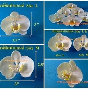 DVD สอนทำกล้วยไม้ฟาแลนนอปซิส หรือ Link Online (DVD How to make Phalaenopsis Orchids with KAEWCLAY)