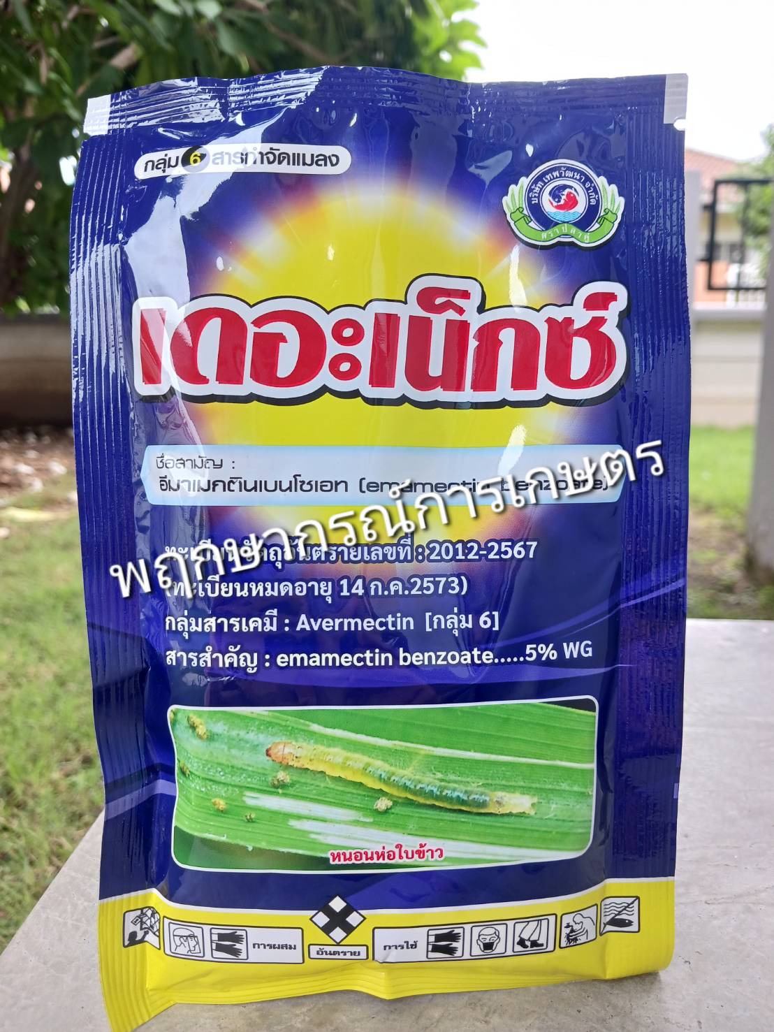 เดอะเน็กซ์