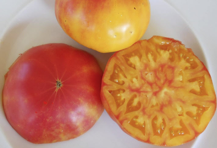มะเขือเทศสับปะรดสีชมพู (Pink Pineapple Tomato) / 10 เม็ด (USA)