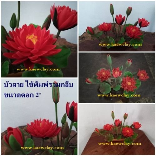 พิมพ์ตัดอลูมิเนียมดอก+ใบบัวสายจิ๋วรวมกลีบ(Aluminum mold cutter Mini Water Lily included petals)
