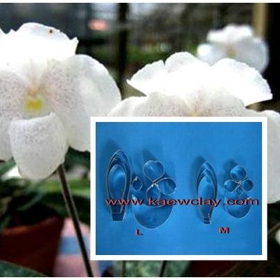 พิมพ์ตัดอก+ใบรองเท้านารีขาวสตูล ( Aluminum mold cutter Paphiopedilum niveum)