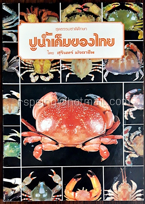 ปูน้ำเค็มของไทย