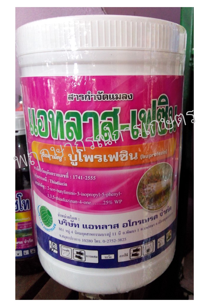 แอทลาส-เฟซิน