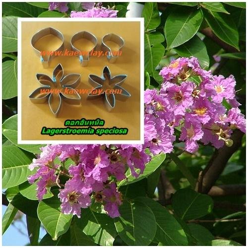 พิมพ์ตัดอลูมิเนียมดอกอินทนิล(Aluminum mold cutter Lagerstroemia speciosa )