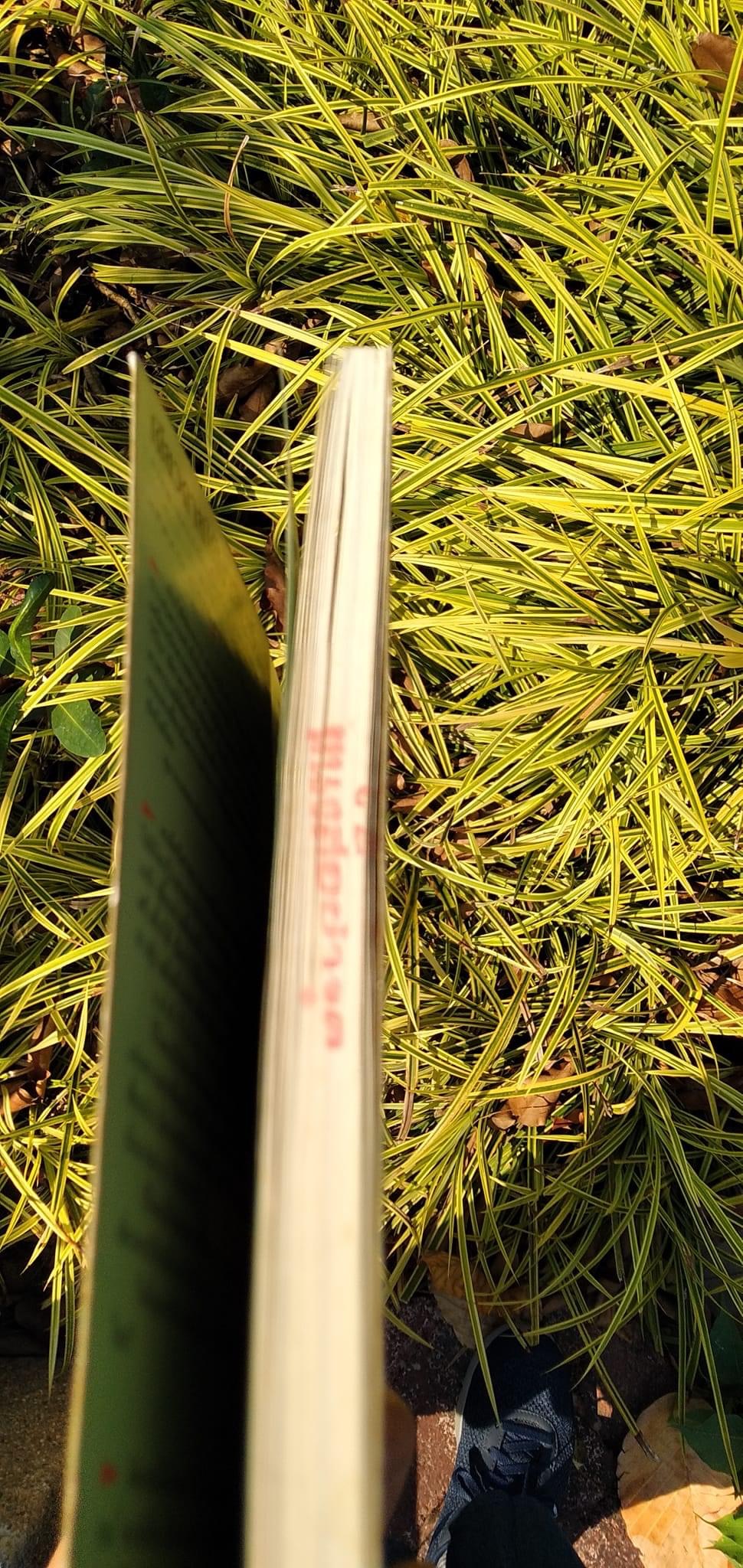 เดียวดายใต้เงาจันทร์ โก้วเล้ง รำพัน