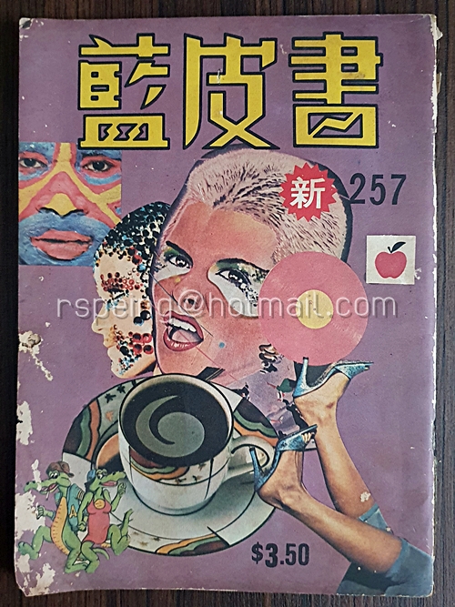 นิตยสาร 藍皮書