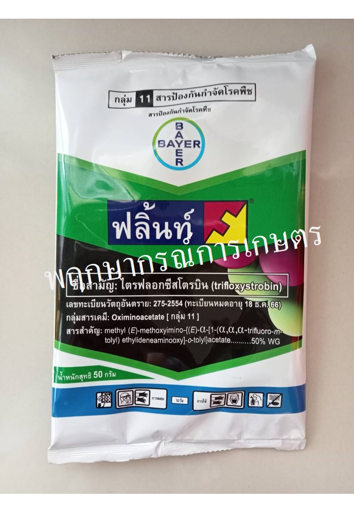 ฟลิ้นท์