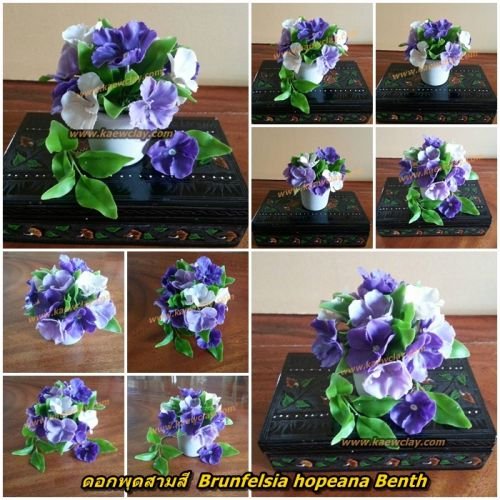 พิมพ์อลูมิเนียมดอกพุดสี+ใบ(Aluminum mold cutter Brunfelsia hopeana Benth + leaves )