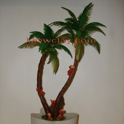 ต้นมะพร้าว ขนาดใหญ่ (Large coconut tree)