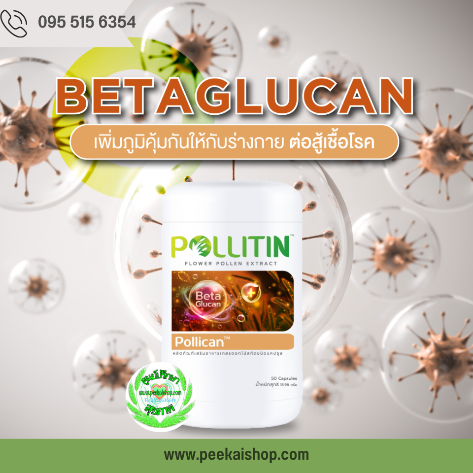 พอลลิแคน Pollican (เบต้ากลูแคน)