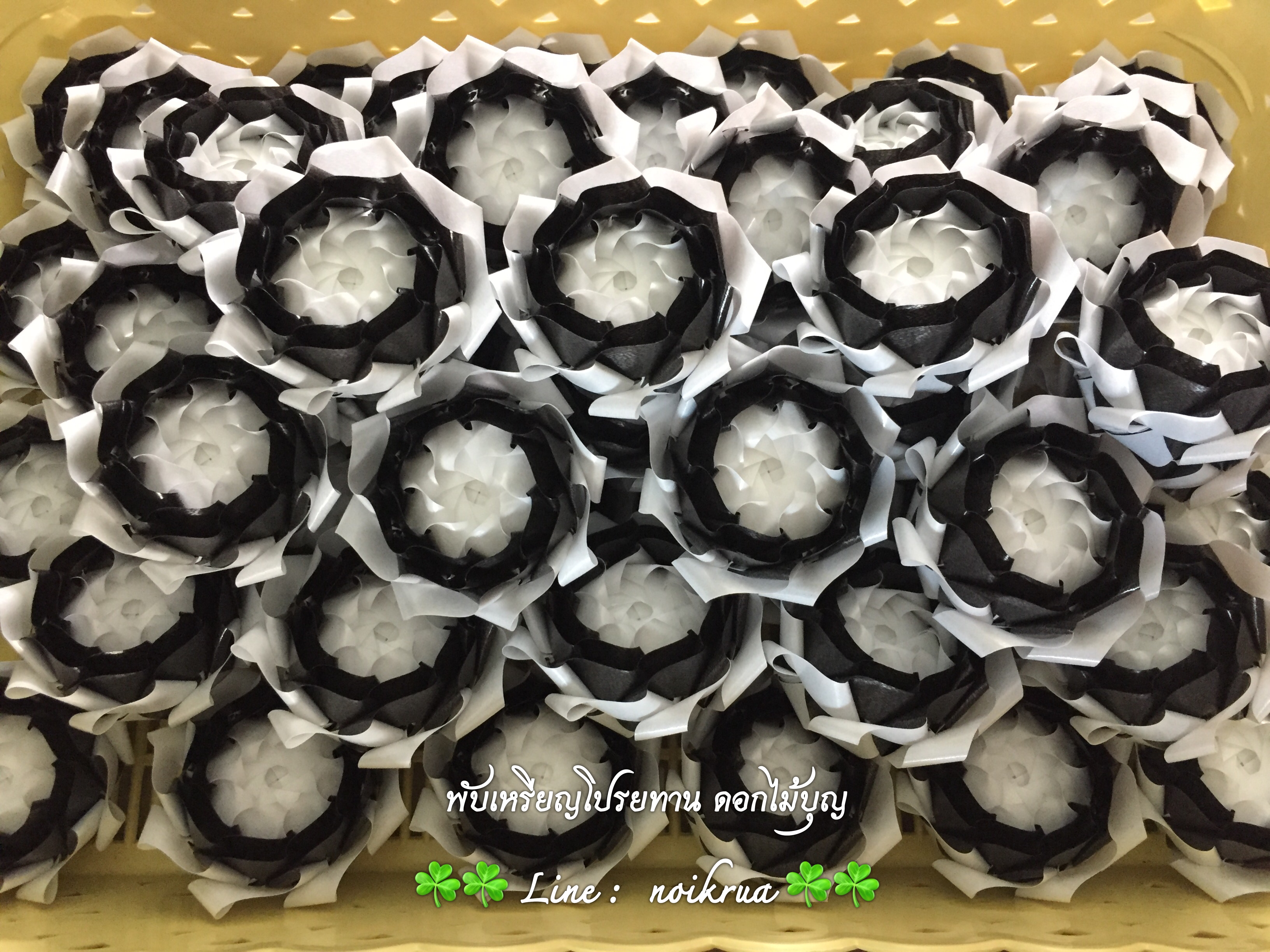 บัวสวรรค์ขาวดำ เหรียญโปรยทาน