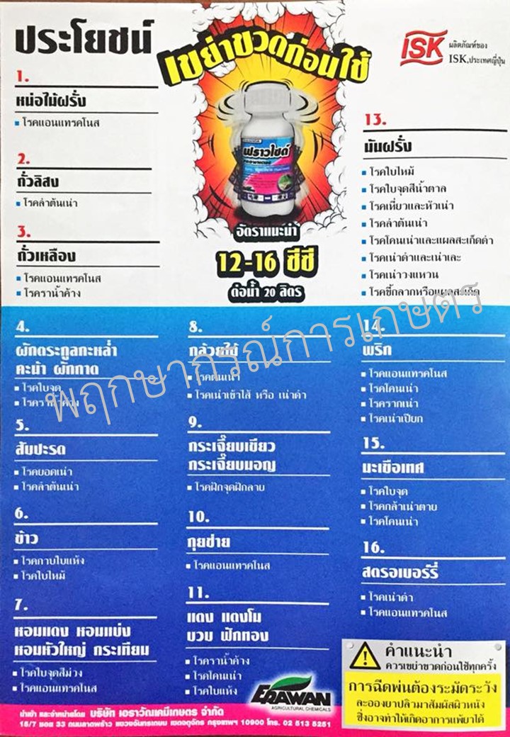 ฟราวไซด์ 500 ซีซี