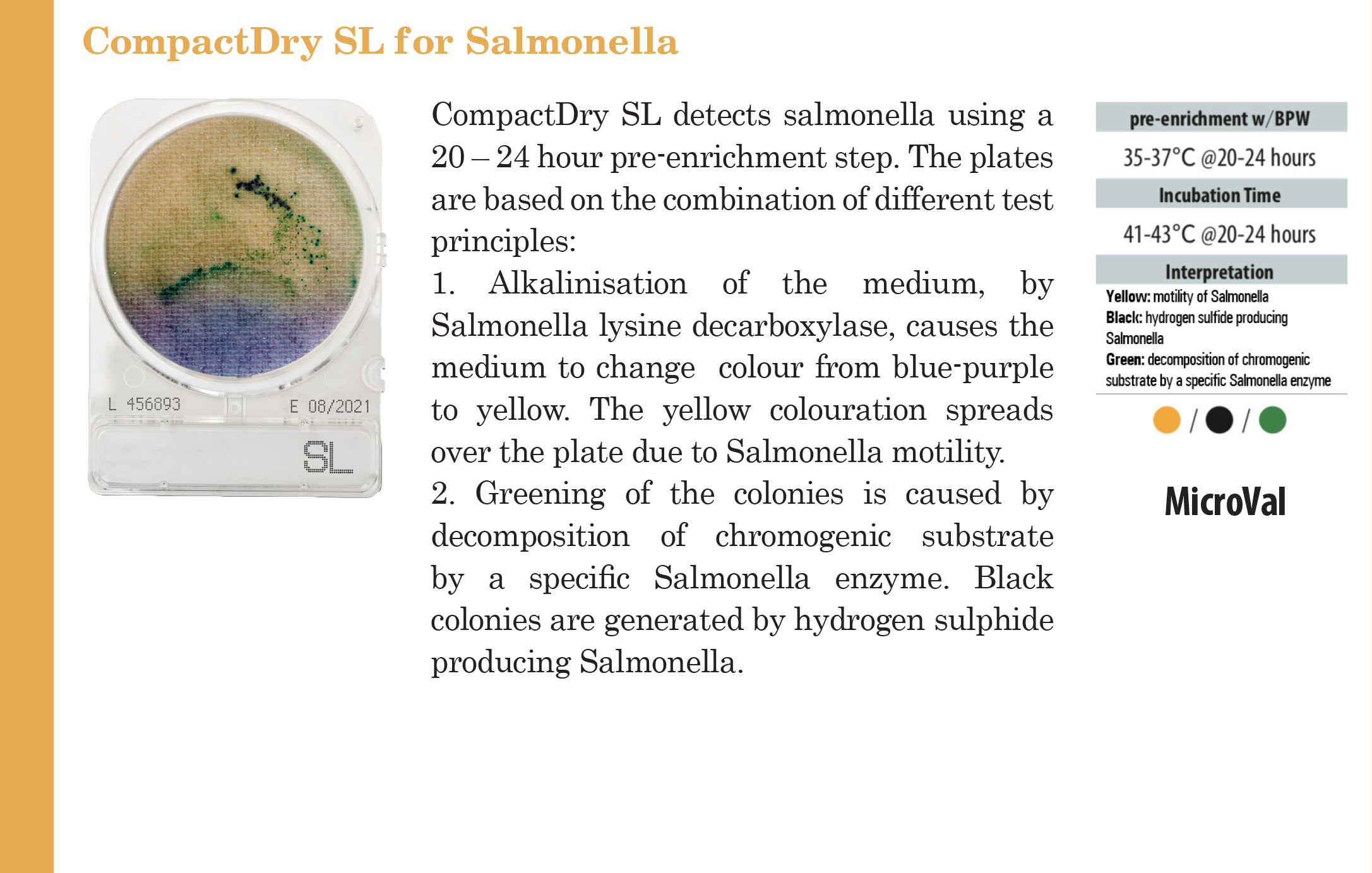 Compact Dry SL (สำหรับตรวจ Salmonella spp.)