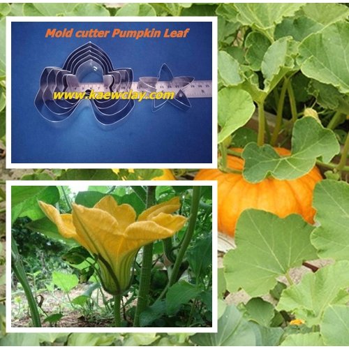 พิมพ์ตัดใบฟักทอง (Mold cutter Pumpkin Leaf)