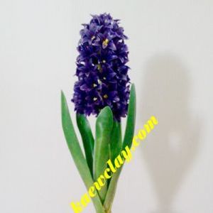 พิมพ์อลูมิเนียมตัดดอก+ใบไฮยาซีนธ์(Aluminum mold cutter HYACINTHUS + leaves )