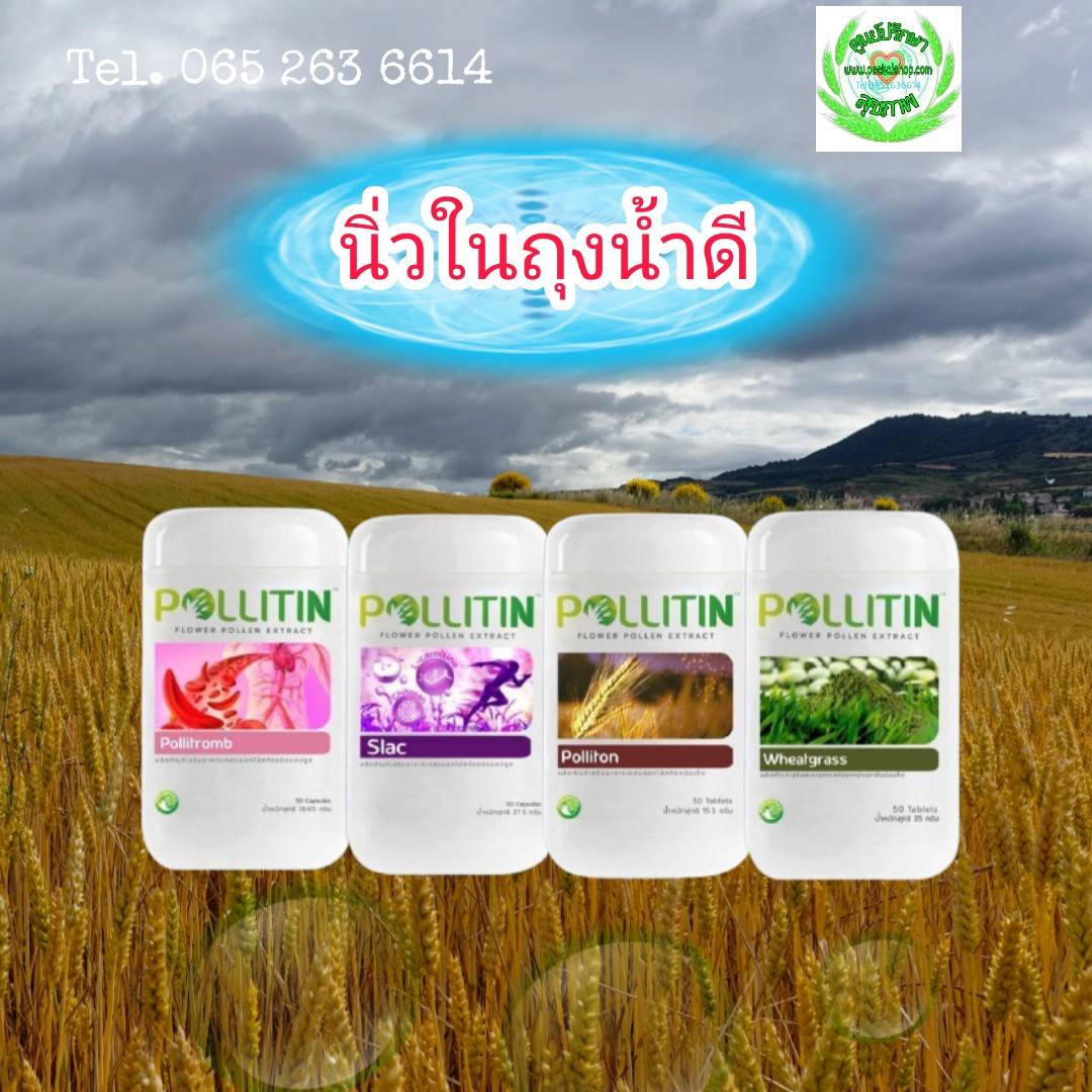 โรคนิ่วในถุงน้ำดี