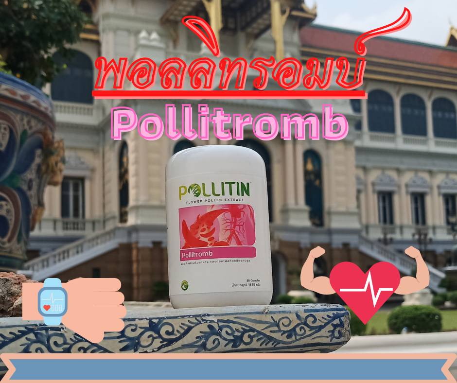 พอลลิทรอมบ์ Pollitromb (สีชมพู)