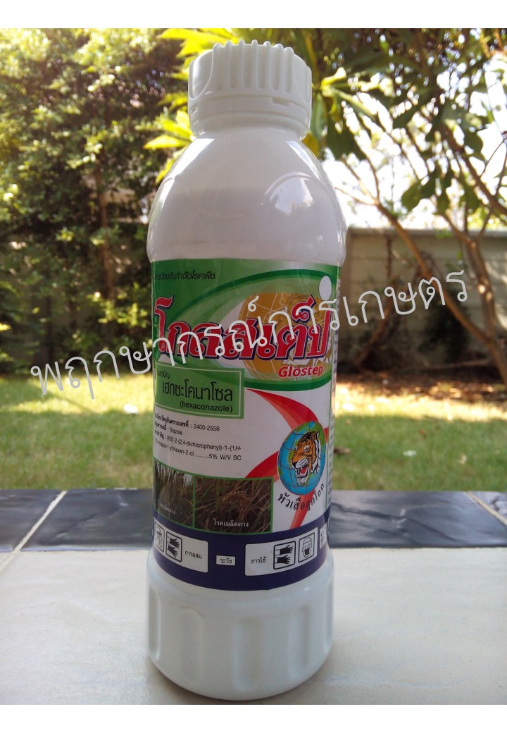 โกลสเต็ป