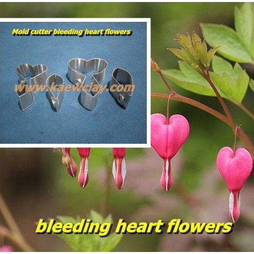 พิมพ์ตัดอลูมิเนียมดอกหฤทัยหยาดทิพย์(Aluminum mold cutter Bleeding Heart flowers)