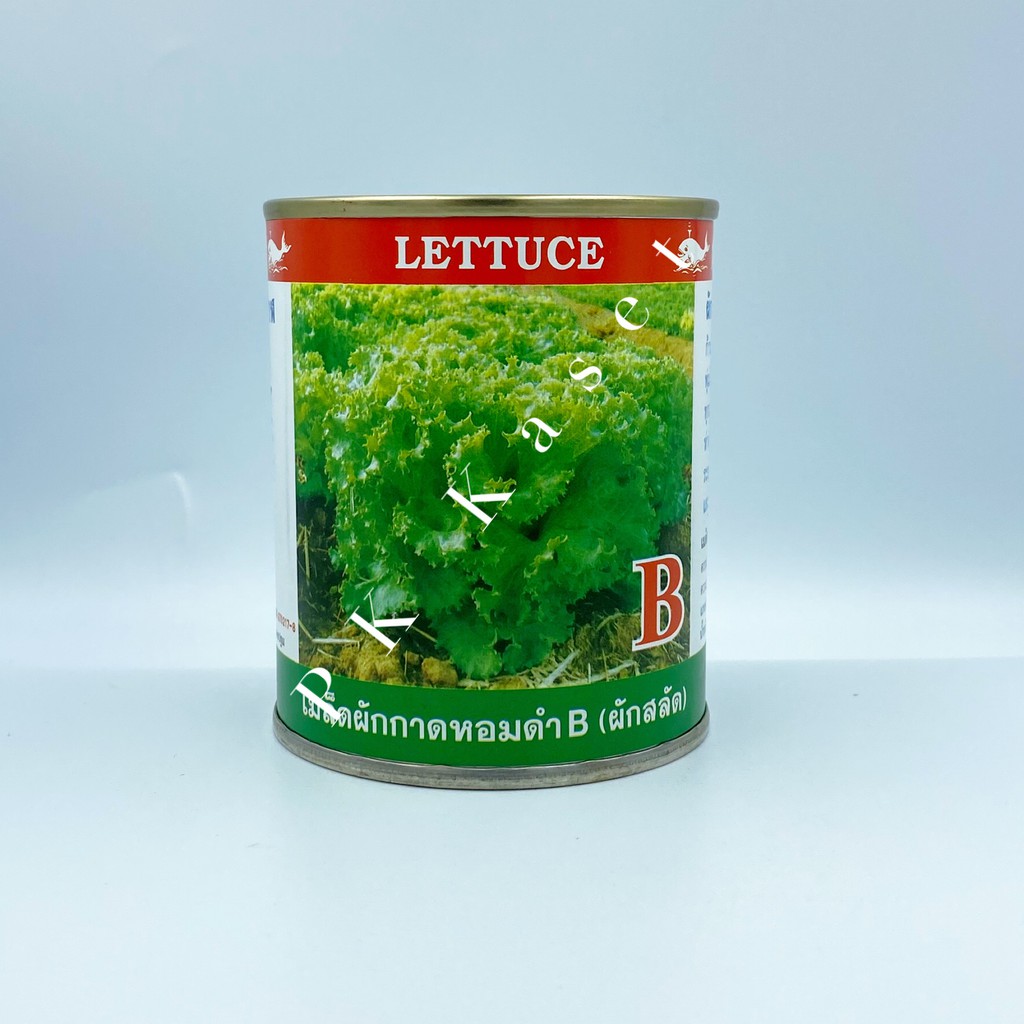 เมล็ดผักกาดหอม (ผักสลัด) ผักกาดหอมดำB ตราปลาวาฬ กระป๋อง ขนาด 40 g