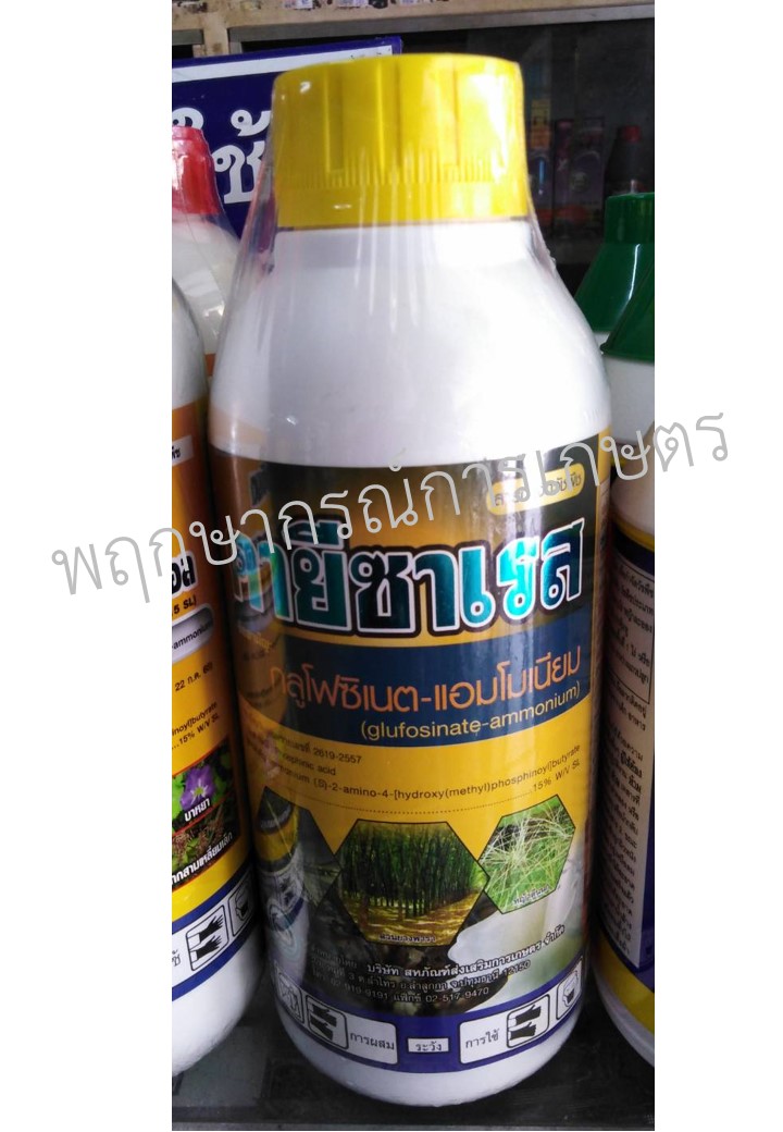 คายีซาเรส 1 ลิตร