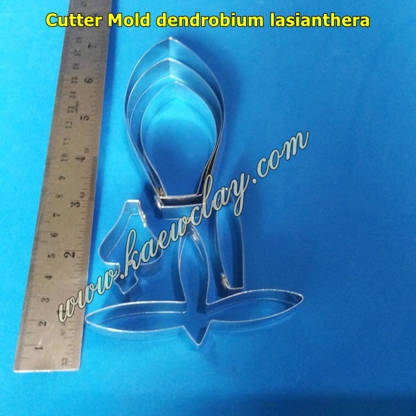 Cutter Mold dendrobium lasianthera