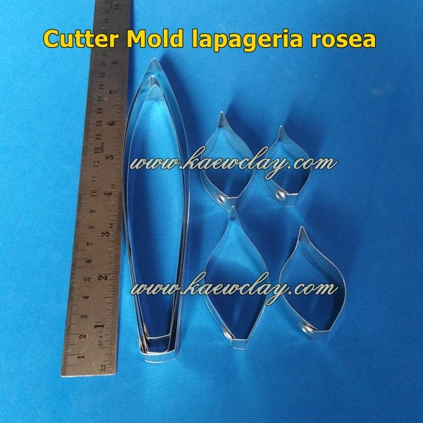 พิมพ์ตัดกล้วยไม้หน้าลิง(Cutter Mold monkey orchids)