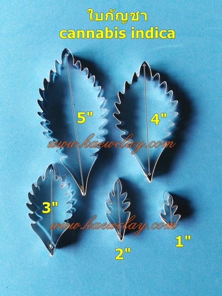 ใบกัญชา (cannabis indica-sativa)