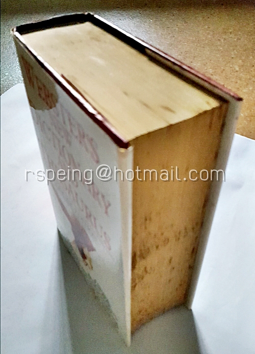 Webster's New Dictionary and Thesaurus Concise Edition