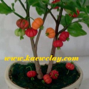 พิมพ์ตัดอลูมิเนียมใบมะยมแดง(Aluminum mold cutter SURINAM CHERRY Leaf)