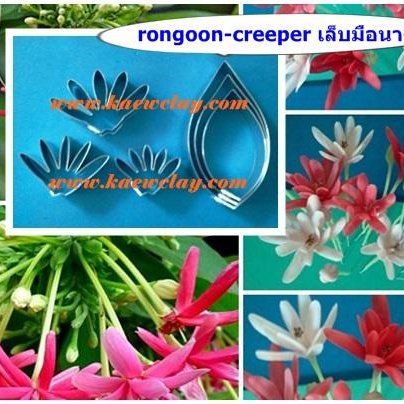 พิมพ์อลูมิเนียมตัดดอก+ใบเล็บมือนาง (Aluminum mold cutter Rongoon-creeper + leaves )
