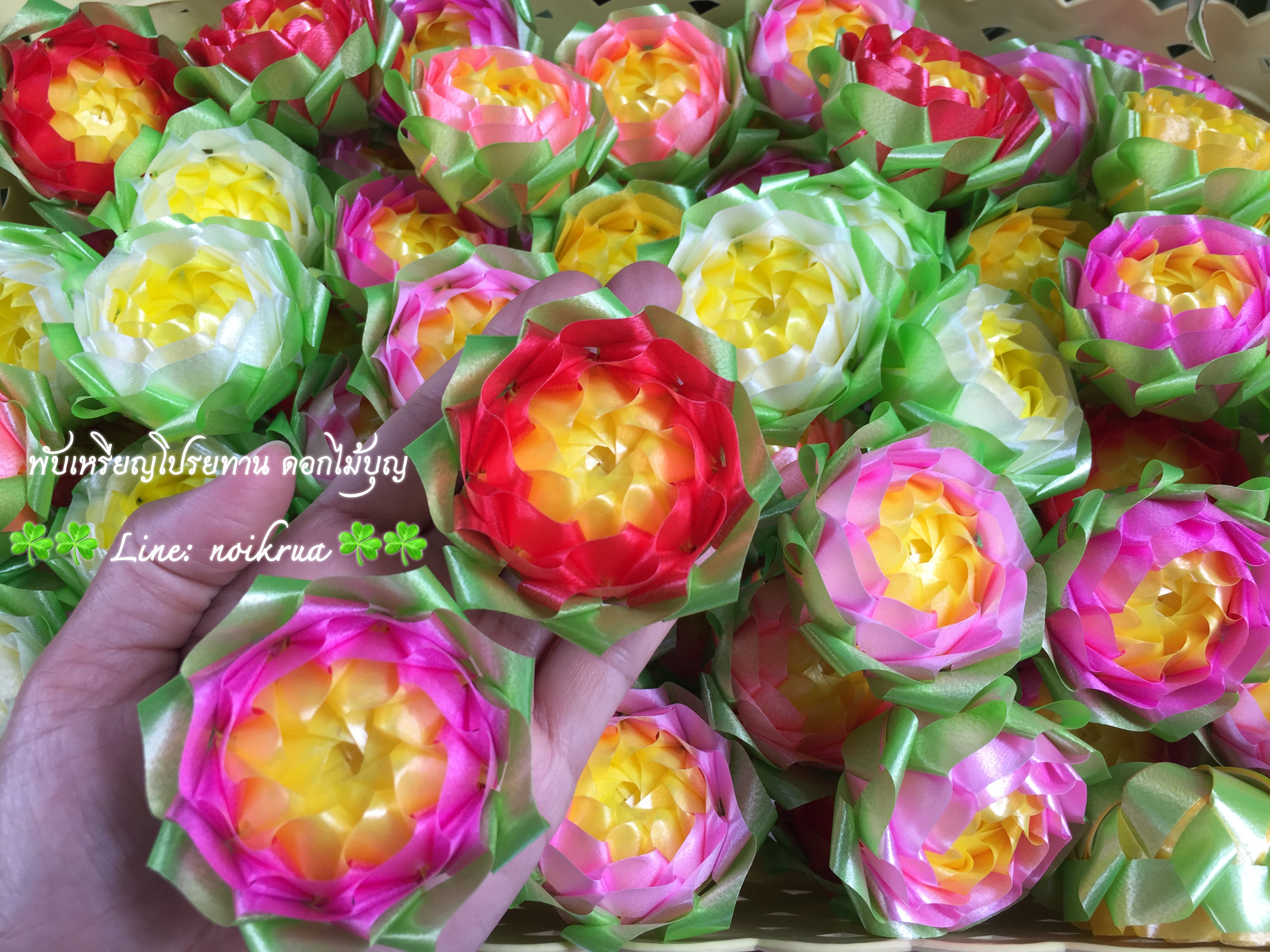 ดอกบัวสวรรค์