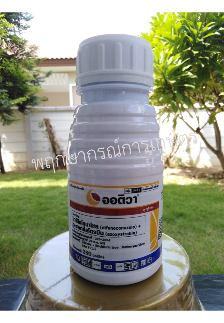 ออติวา 325 เอสซี 250 ซีซี